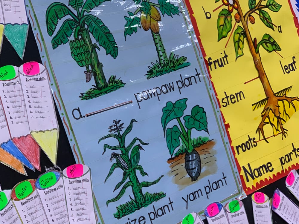 Science charts and pupils' work on a classroom wall